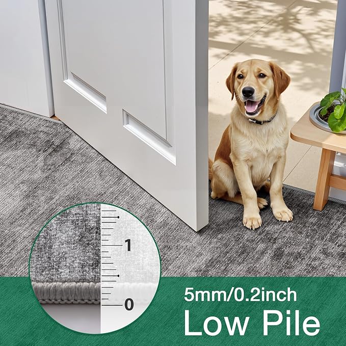 LUMI 8x12 Washable Area Rug for Living Room, Ultra Soft Modern Neutral Grey Rugs Non Slip with Rubber Backing, Low Profile, High Traffic, Stain Resistant Carpets, Ideal for Bedroom, Dining Room