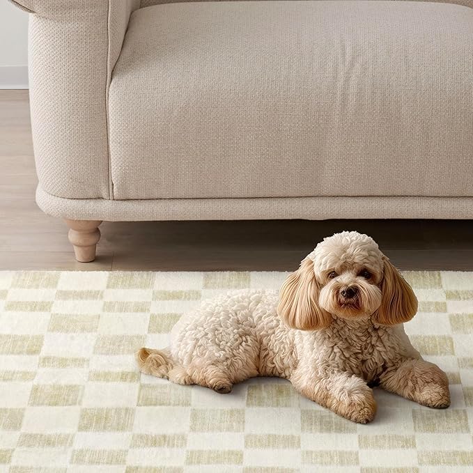 EVERGRACE Checkered Plaid Area Rug 2x10, Soft Fuzzy Faux Wool Rugs Washable Anti Slip Rugs Long Runner Rug Carpet for Entryway Bedroom Living Room Hallway Kitchen Dining Room and Laundry Room, Beige