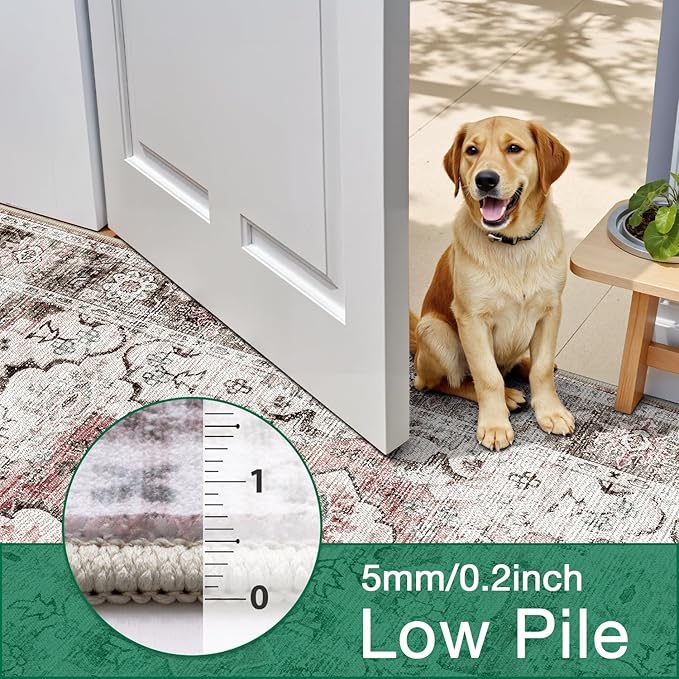 LUMI Washable Area Rug 5x8 for Living Room, Ultra Soft Stain Resistant Carpet with Non Slip Rubber Backing, Non-Shedding Low Pile Rugs for Bedroom, Dining Room, Indoor, Office