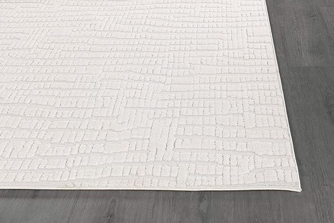 Modern Micro Loop Indoor Area Rugs for Living Room Bedroom Kitchen Geometric Pebble White 8x10 Luxury Durable Low and High Pile Non-Shedding Stain Resistant Soft Area Carpet 8 x 10
