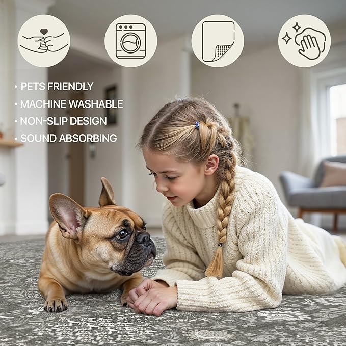 Bavni Area Rugs for Living Room, 5x7 Area Rugs Non-Slip Washable，Ultra-Thin Aesthetic Boho Rug for Bedroom Dinning Room Office, Gery