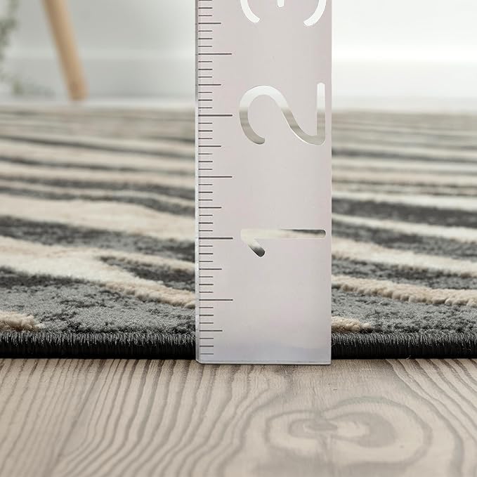 Abani Terra Area Rug for Living Room, Bedroom - Zebra Pattern - Black Cream- 6' x 9' - Durable & Easy to Clean