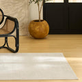 Nourison Home Nordic Ivory 4' x 6' Area Rug - Easy Clean, Non Shedding, Bed Room, Living Room, Dining Room, Kitchen (4' x 6')