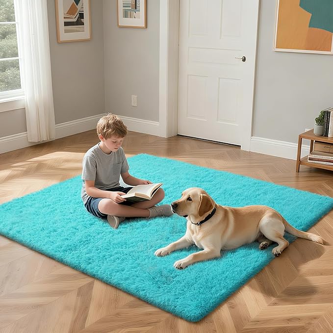Teal Blue Rug Fluffy Rugs, 2x4 Teal Area Rugs for Bedroom, Soft Cute Baby Play Mat, Indoor Floor Carpet for Teen, Nursery, Preppy Dorm, Plush Aesthetic Bedside Rug