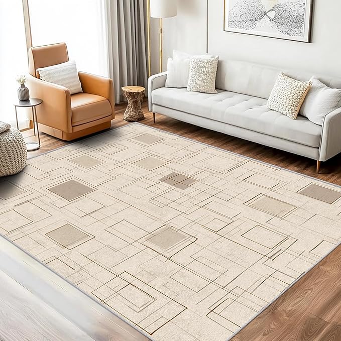 Geometric Rug, Washable 5x7 Rug for Living Room, Modern Abstract Patterned Indoor Carpet, Geometric Decor for Home, Bedroom, Soft Non Slip Thin Design FER58