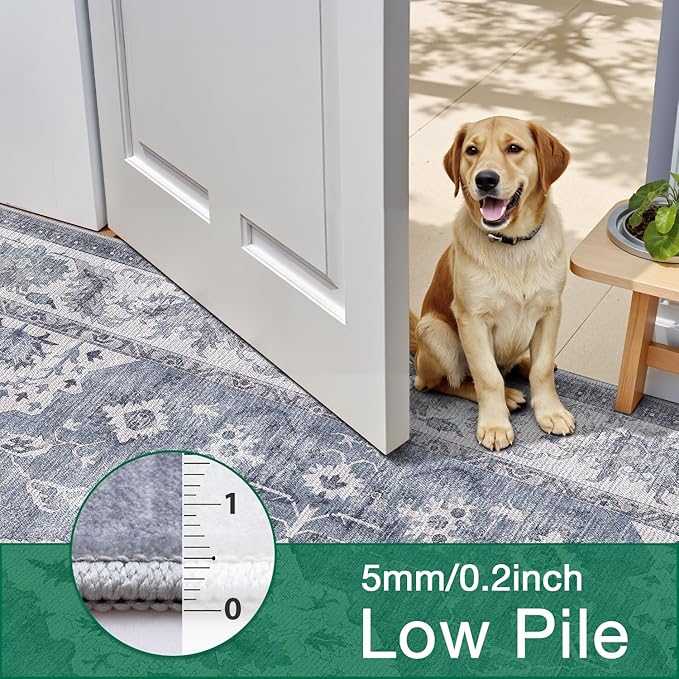 LUMI Washable Area Rug 8x10 for Living Room, Ultra Soft Stain Resistant Carpet with Non Slip Rubber Backing, Non-Shedding Low Pile Rugs for Bedroom, Dining Room, Indoor, Office
