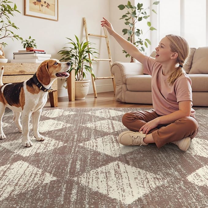 Lahome Moroccan Treills Area Rug - 3x5 Beige Rugs for Living Room Washable Entry Mat, Checkered Modern Soft Pet Friendly Indoor Accent Carprt for Coffee Table Bedroom Family Dinning Room Playroom
