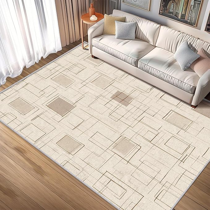 Geometric Rug, Washable 3x5 Rug for Living Room, Modern Abstract Patterned Indoor Carpet, Geometric Decor for Home, Bedroom, Soft Non Slip Thin Design FER54