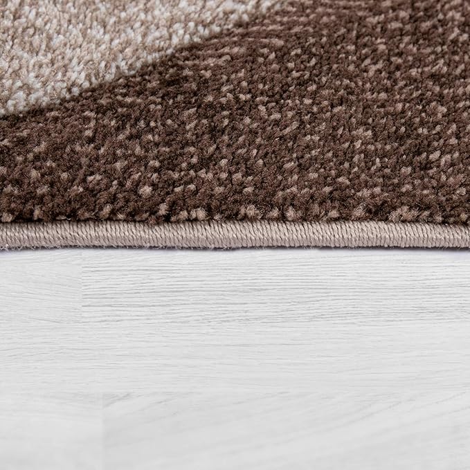 Paco Home Modern Area Rug Bordered with Geometric Pattern in Brown Beige with Contour Cut, Size: 2'8" x 9'10"