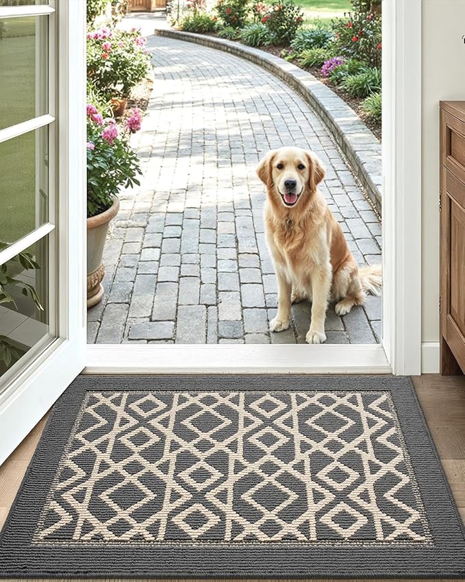 LUMI Entryway Floor Mat 24x36, Deep Mud Removal and Water Absorption, Dustproof and Wear-Resistant, Easy to Clean, Suitable for Home/Office, Dark Grey