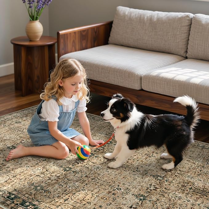 Moynesa Vintage Brown Washable 5x7 Area Rugs for Living Room, Boho Area Rug for Bedroom Dining Room Kitchen, Low Pile Soft Non-Slip Retro Carpets for Office Indoor Nursery