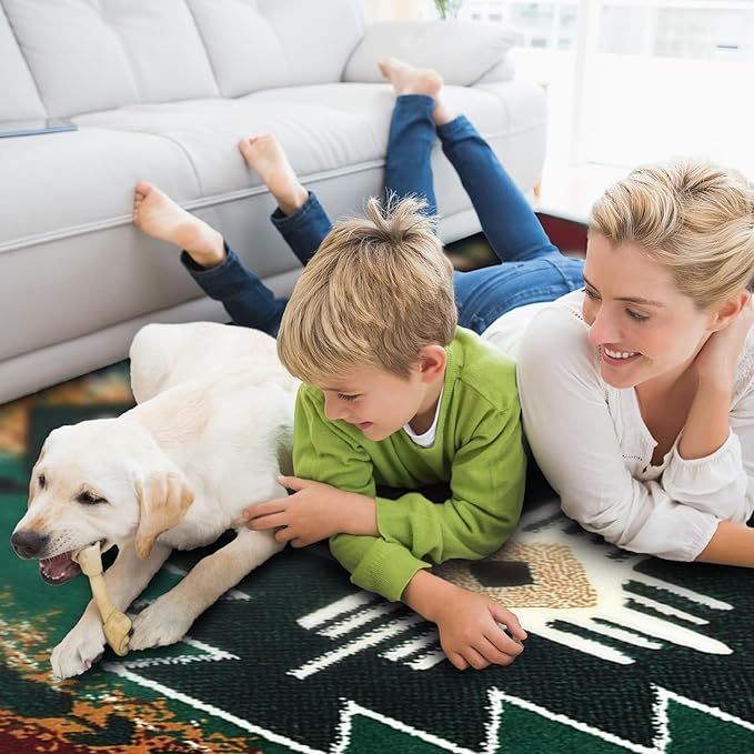 YHSF South West Native American Area Rug C318 - Easy Clean, Thick, Soft, Durable Native Tribal American Indian Inspired Rug for Bedroom/Living Room and More - Hunter Green, 5 ft 11 in x 8 ft 6 in
