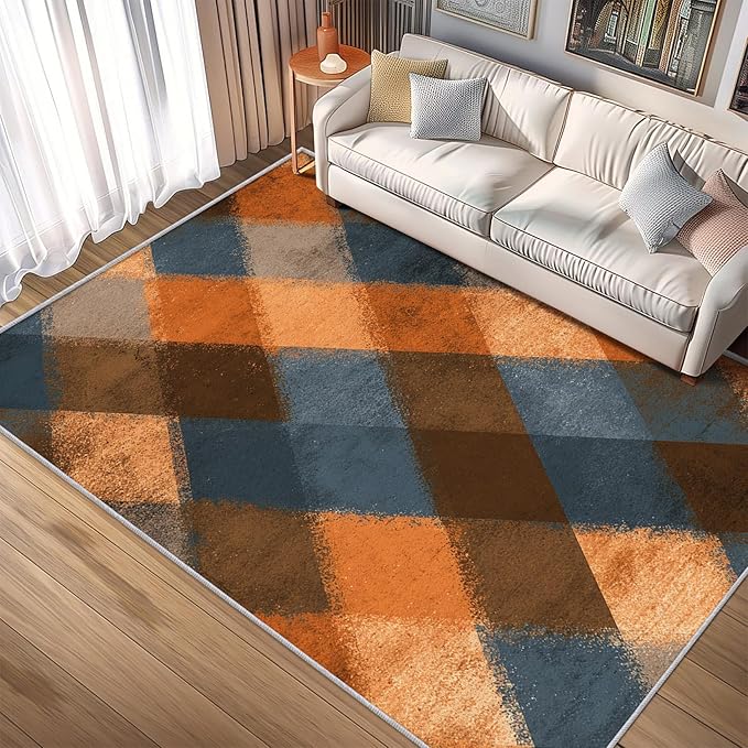 Checkered Geometric Rug, Washable 4x6 Rug for Living Room, Modern Abstract Patterned Indoor Carpet, Checkered Geometric Decor for Home, Bedroom, Soft Non Slip Thin Design FER46