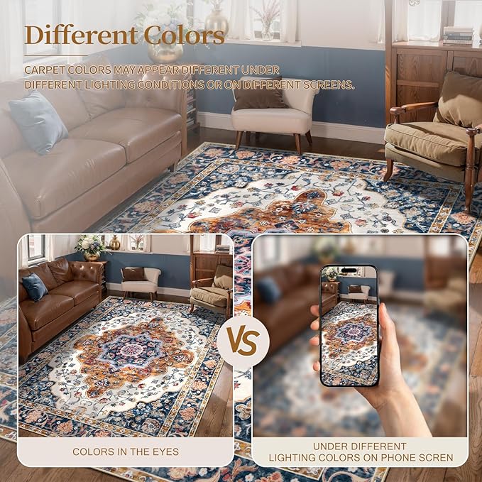 Ciicool Small Area Rug, 2x3ft Boho Rug, Ultra Soft Entry Rugs for Entryway, Non-Slip Washable Rugs Oriental Low-Pile Indoor Mat Floor Carpet for Entrance Bedroom Kitchen Bathroom Foyer Decor