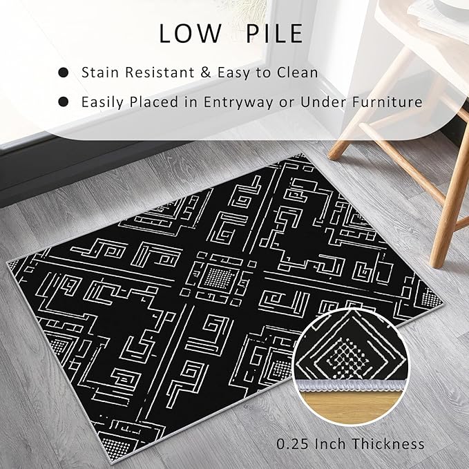 Geometric Rug, Washable 4x5 Rug for Living Room, Black and White Patterned Indoor Carpet, Modern Geometric Decor for Home, Bedroom, Soft Non Slip Thin Design FER15