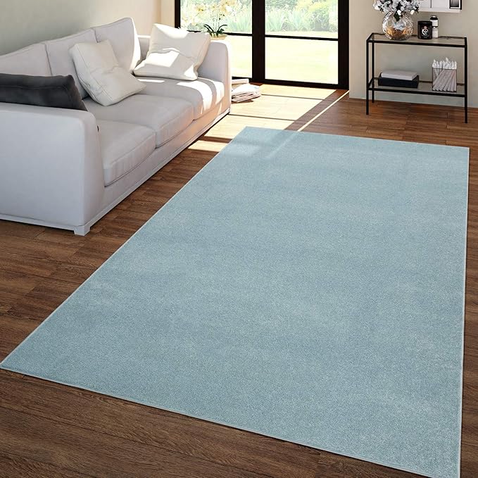 Paco Home Solid Area Rug in Light Blue Modern Plain Design, Size: 4' x 5'7"