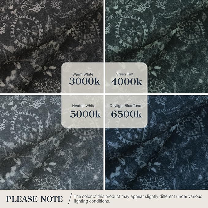 Lahome Black Area Rug for Living Room 8x10,Boho Washable Thin Carpets for Office Decor,Vintage Rubber Backed Non Slip Rug for Bedroom Dorm Apartment Hardwood Floors