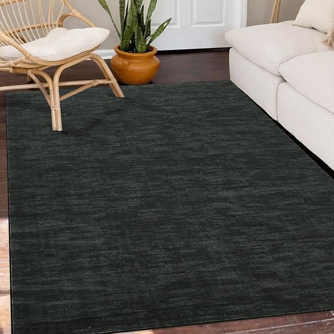 RUGSREAL Modern Area Rug 4x6 Rug for Bedroom Indoor Non-Slip Solid Color Area Rugs Non Slip Washable Contemporary Area Rug Throw Floor Carpet for Bedroom Living Room Kitchen, 4' x 6' Black