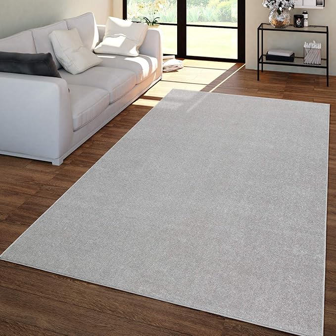 Paco Home Solid Area Rug in Silver Modern Plain Design, Size: 4'7" x 6'7"