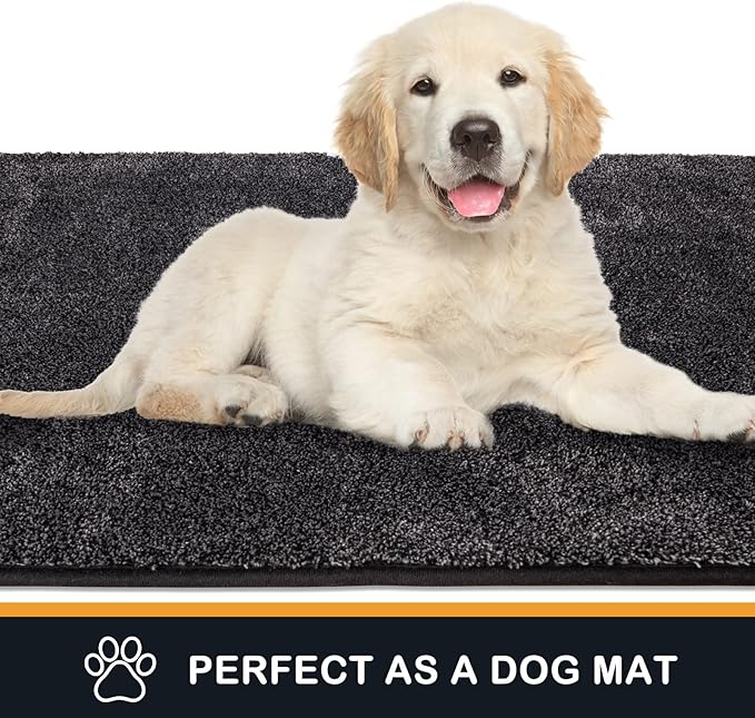 PURRUGS Dirt Trapping Door Mat 31.5" x 47", Non-Slip Machine Washable Entry Rug, Shoe Scraper, Dog Doormat, Super Absorbent Welcome Mat for Front & Back Door, Muddy Shoes & Paws, Charcoal