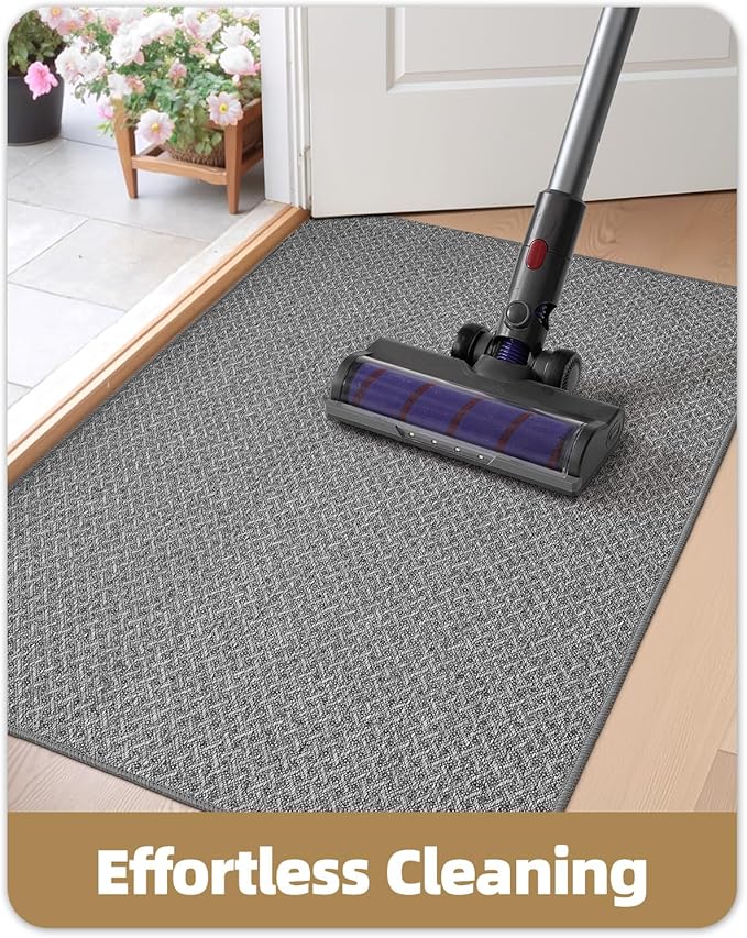 Color&Geometry Ultra Thin Indoor Door Mat Non Slip Rubber Backed Dirt Trapper 32"x48"(Rolled-up NO Creases), Rugs for Entryway, Front Door Mat Indoor Washable Low-Profile Entry Mat, Light Grey