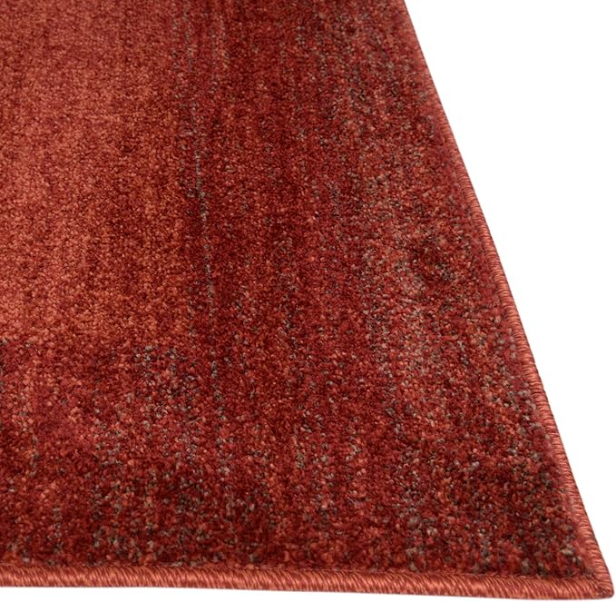 Rugs.com Angelica Collection Rug – 3' x 5' Terracotta Medium Rug Perfect for Entryways, Kitchens, Breakfast Nooks, Accent Pieces