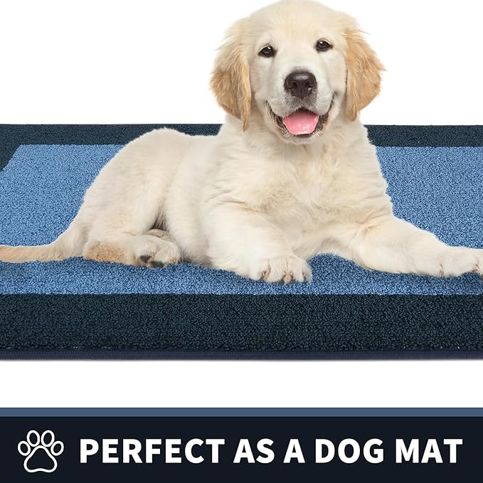 PURRUGS Dirt Trapping Door Mat 34" x 60", Non-Slip/Skid Machine Washable Entryway Rug, Shoes Scraper, Throw Rug, Super Absorbent Area Rug for Muddy Wet Shoes and Paws, Light Blue & Navy
