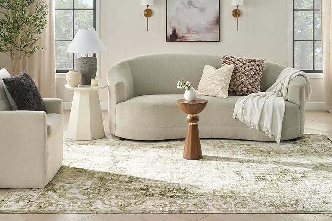 Nourison Home Astra Machine Washable Ivory Green 9' x 12' Area Rug - Easy Clean, Non Shedding, Bed Room, Living Room, Dining Room, Kitchen (9' x 12')