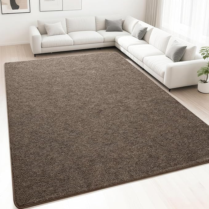 HQAYW 7x10 Large Area Rugs for Living Room Bedroom, Modern Thickened Memory Foam Soft Rug, Low Pile Minimalist Washable Non Slip Carpets for Kids Girls Boys Nursery Dorm Home Decor, Brown