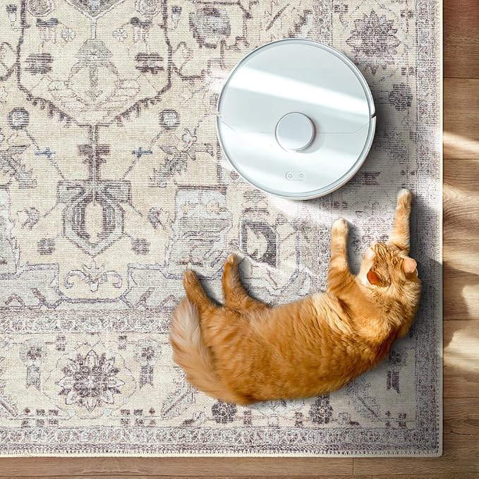 GLN Rugs Traditional Collection - Machine Washable Area Rug, Traditional Washable, Non Slip, Low Pile Chenille Rug, Living Room, Bedroom, Kitchen Rug (3' x 5' Cream/Gray)
