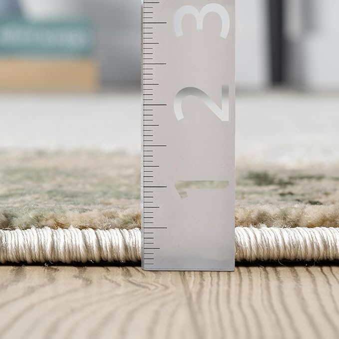 Abani Beige with Green Border Washable Area Rug – 2' x 3' – Classic Textured Design – Ivy Collection – Non-Shedding, Easy to Clean – Durable for High Traffic Areas – Living Room & Bedroom