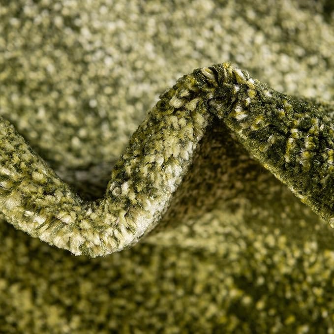 Rugs.com Angelica Collection Rug – 9' x 12' Light Green Medium Rug Perfect for Living Rooms, Large Dining Rooms, Open Floorplans