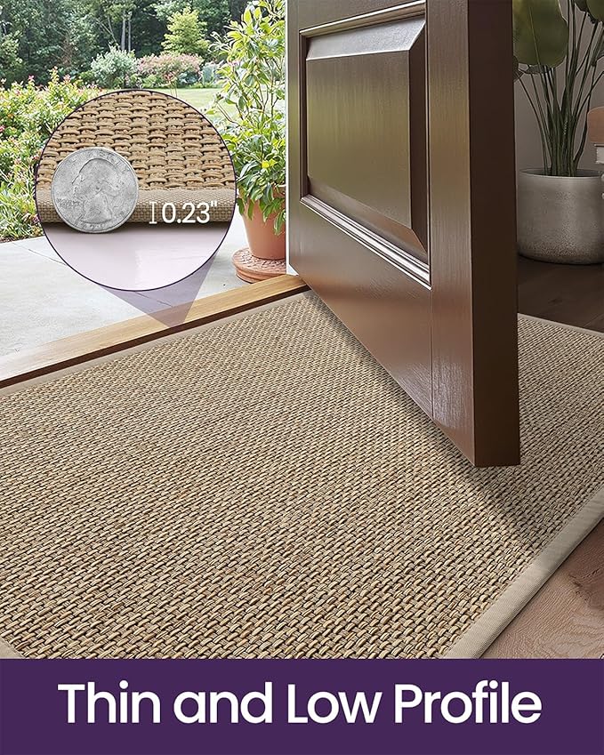 DEXI Ultra Thin Entryway Indoor Door Mat 24x36, Non Slip Rubber Backing Inside Entry Mat, Low Profile Easy Clean Dirt Trapper Doormat for Inside Entrance Patio, Beige