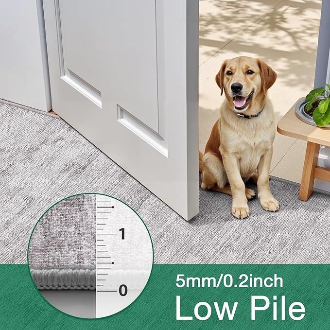 LUMI 5x8 Washable Low-Pile Area Rug for Living Room, Ultra Soft Modern Neutral Grey Rugs Non Slip with Rubber Backing, High Traffic, Stain Resistant Carpets, Ideal for Bedroom, Dining Room
