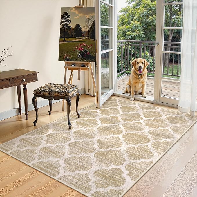 Lahome Moroccan Living Room Carpet - 4x6 Area Rug Washable Non-Slip Soft Rugs for Bedroom Ultra-Thin Throw Rug for Office, Modern Print Indoor Carpet Rug for Laundry Room Kitchen (Taupe, 4'x6')