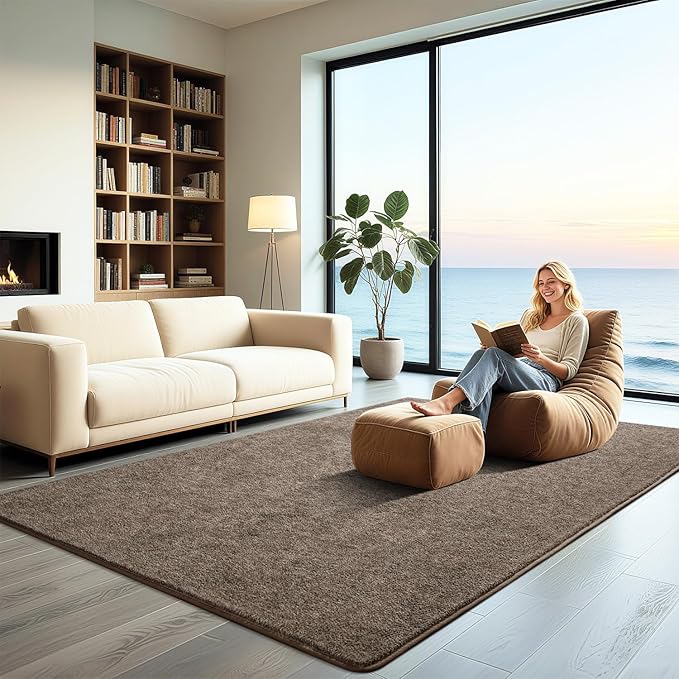 HQAYW 5x7 Area Rugs for Living Room Bedroom, Modern Thickened Memory Foam Soft Rug, Indoor Low Pile Minimalist Washable Non Slip Carpets for Kids Girls Boys Nursery Dorm Home Decor, Brown
