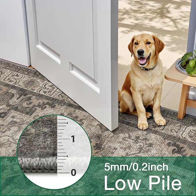 LUMI Washable Area Rug 8x10 for Living Room, Ultra Soft Stain Resistant Carpet with Non Slip Rubber Backing, Non-Shedding Low Pile Rugs for Bedroom, Dining Room, Indoor, Office