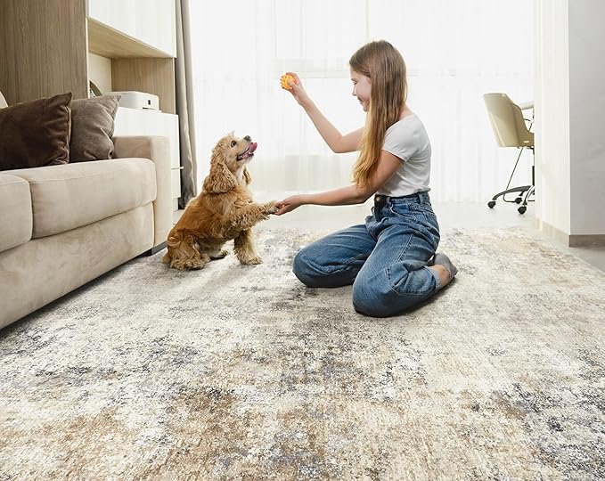 7x10 Area Rug Living Room Rugs - Washable Neutral Modern Abstract Soft Thin Large Rug Indoor Floor No Slip Rug Carpet for Bedroom Under Dining Table Home Office Decor - Golden Grey