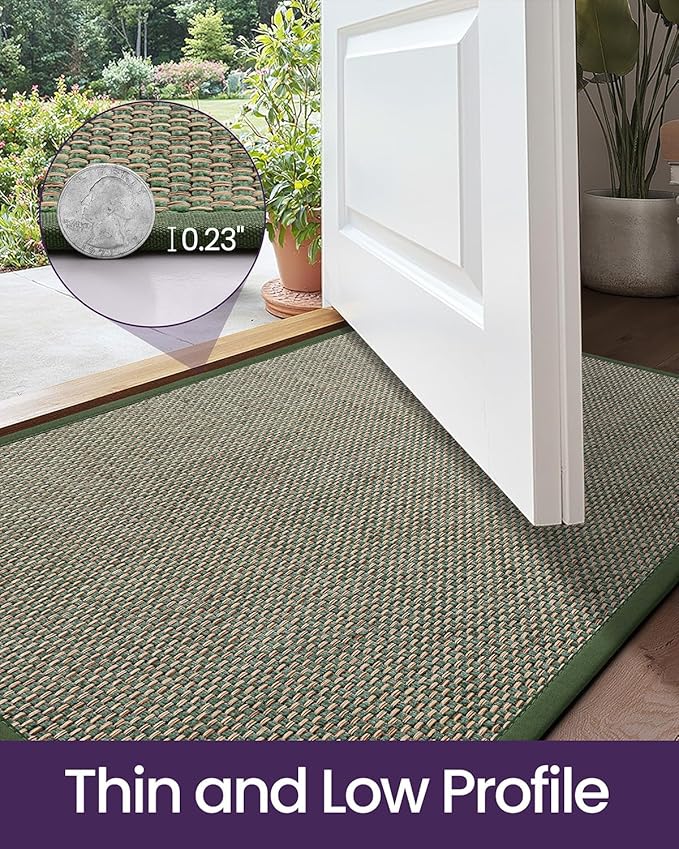 DEXI Ultra Thin Entryway Door Mat 24x36, Non Slip Rubber Backing Inside Entry Mat, Low Profile Easy Clean Dirt Trapper Doormat for Inside Entrance Patio, Green