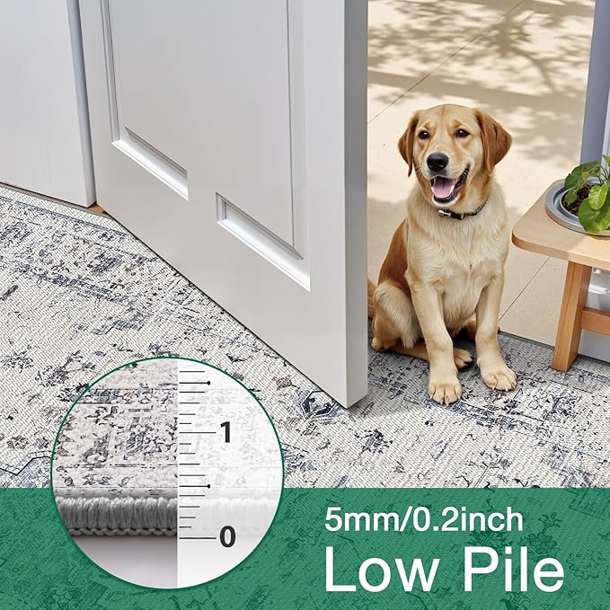 LUMI 8x10 Washable Area Rug for Living Room, Ultra Soft Traditional Rugs Non Slip with Rubber Backing, Low Profile, High Traffic, Stain Resistant Carpets, Ideal for Bedroom, Dining Room, Indoor