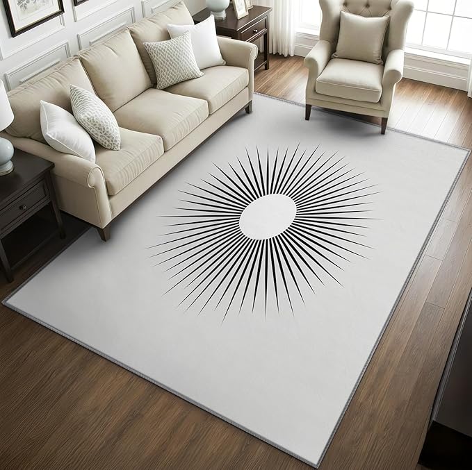 Mid Century Rugs for Living Room -Minimalist Sun Rug, 3x5 ft, Black and White Area Rug, Modern Abstract Washable Non-Slip Rugs for Entryway, Optical Illusion Home Decor & Gifts
