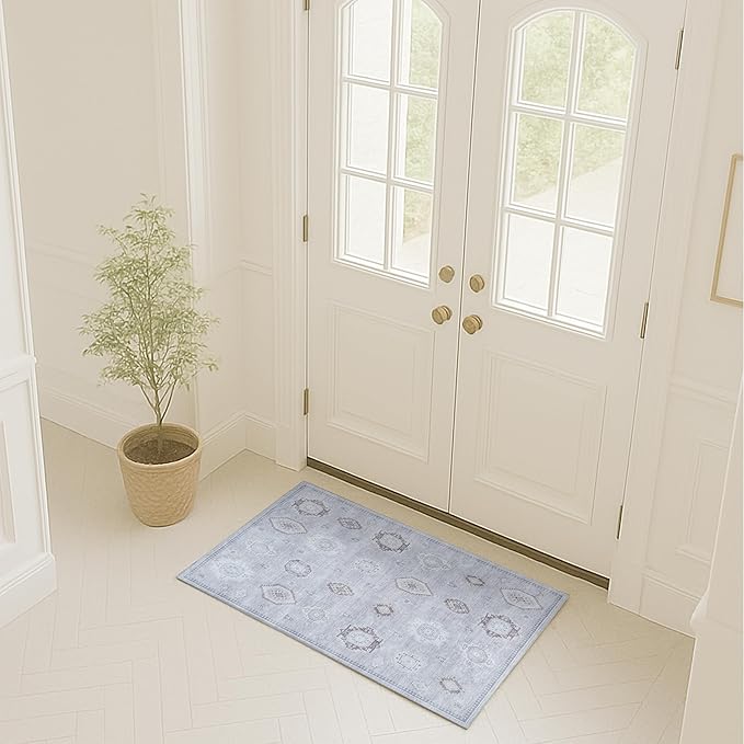 Turkish Rug. Washable Vintage Oriental Antique Inspired Traditional Doormat Small Modern Area Rugs Luxury Entryway Entry Bedroom Bathroom Kitchen (393VG, 2' x 3')