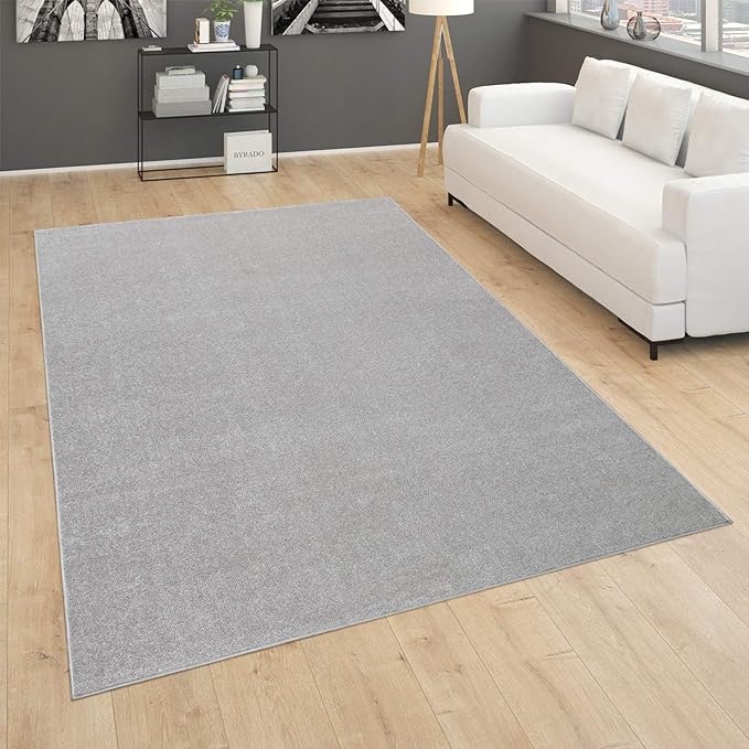 Paco Home Solid Area Rug in Silver Modern Plain Design, Size: 4'7" x 6'7"