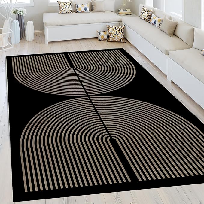Modern Rainbow Area Rug 4x6 Black Comfort Soft Low Profile Machine Washable Non-Slip Rug, Contemporary Backyard Living Room Mat