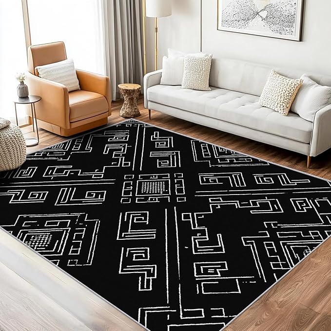 Geometric Rug, Washable 5x7 Rug for Living Room, Black and White Patterned Indoor Carpet, Modern Geometric Decor for Home, Bedroom, Soft Non Slip Thin Design FER18
