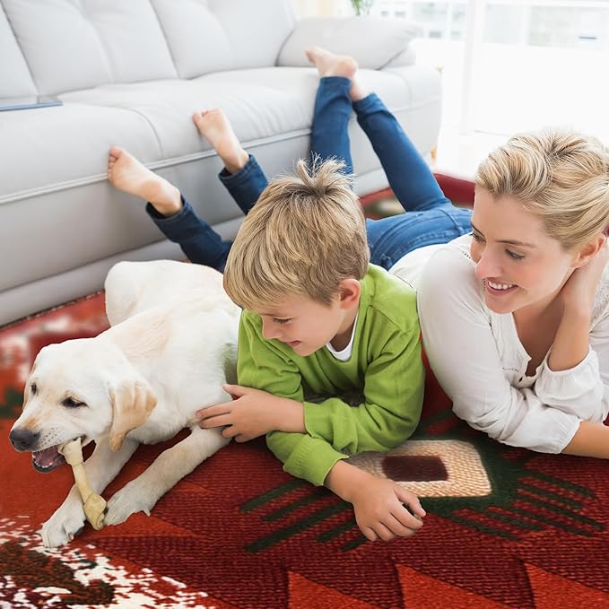 YHSF South West Native American Area Rug C318 - Easy Clean, Thick, Soft, Durable Native Tribal American Indian Inspired Rug for Bedroom/Living Room and More - Rust, 5 Feet 11 Inches x 8 Feet 6 Inches