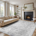 vivorug 5x7 Neutral Area Rugs, Stain Resistant Washable Rug for Living Room, Vintage-Inspired (Ivory/Silver, 5'x7')