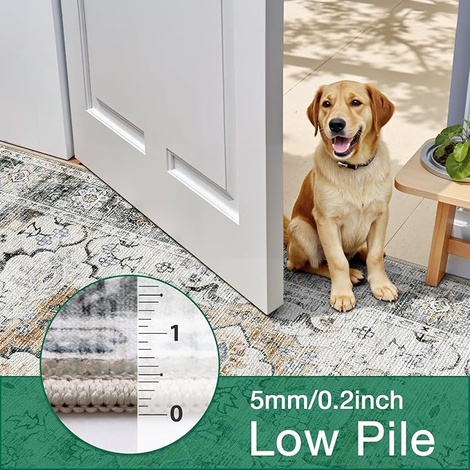 LUMI Washable Area Rug 5x8 for Living Room, Ultra Soft Stain Resistant Carpet with Non Slip Rubber Backing, Non-Shedding Low Pile Rugs for Bedroom, Dining Room, Indoor, Office