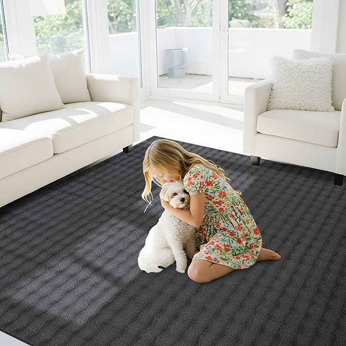 CAMILSON Modern Dark Gray Non Slip Rug 3x5 Ultra Soft High Pile Area Rugs Non Skid Rubber Backing Durable & Easy to Clean Carpet for Living Room Bedroom Kids Room Indoor Use (3 x 5 Dark Gray)
