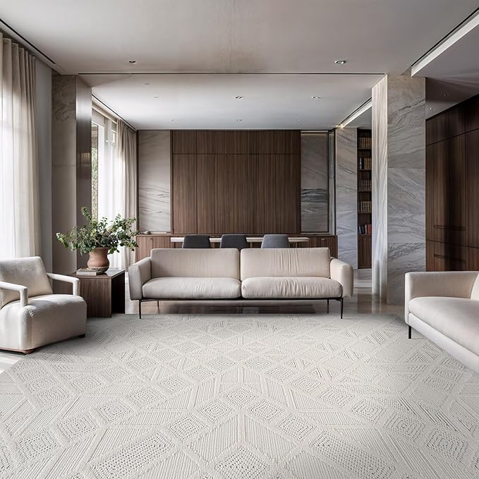 Modern Micro Loop Indoor Area Rugs for Living Room Bedroom Kitchen Geometric Square White 8x10 Luxury Durable Low and High Pile Non-Shedding Stain Resistant Soft Area Carpet 8 x 10